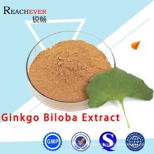 High-Quality Ginko Biloba Extract Chinese Herbal Medicine Raw Material Ginkgo Biloba Leaves Extract Powder with USP Grade